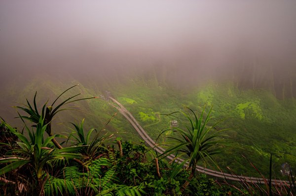 Comment organiser un concours de haïkus en famille ou entre amis ?